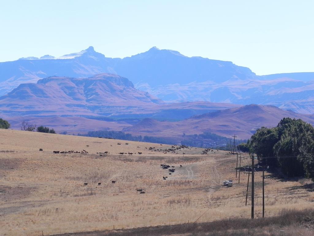 J&B Lodge Underberg Exterior photo